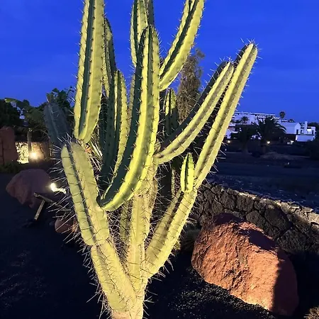 Patos Плайя-Бланка